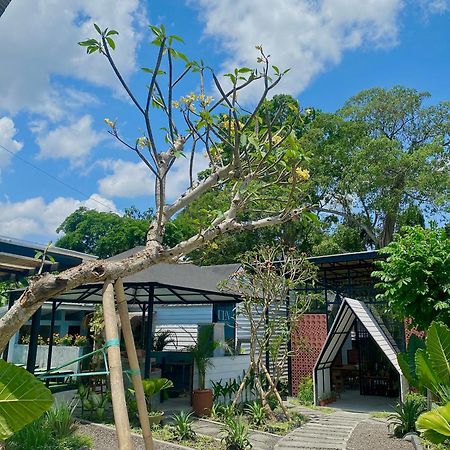 The Jungle Hostel Canggu Экстерьер фото